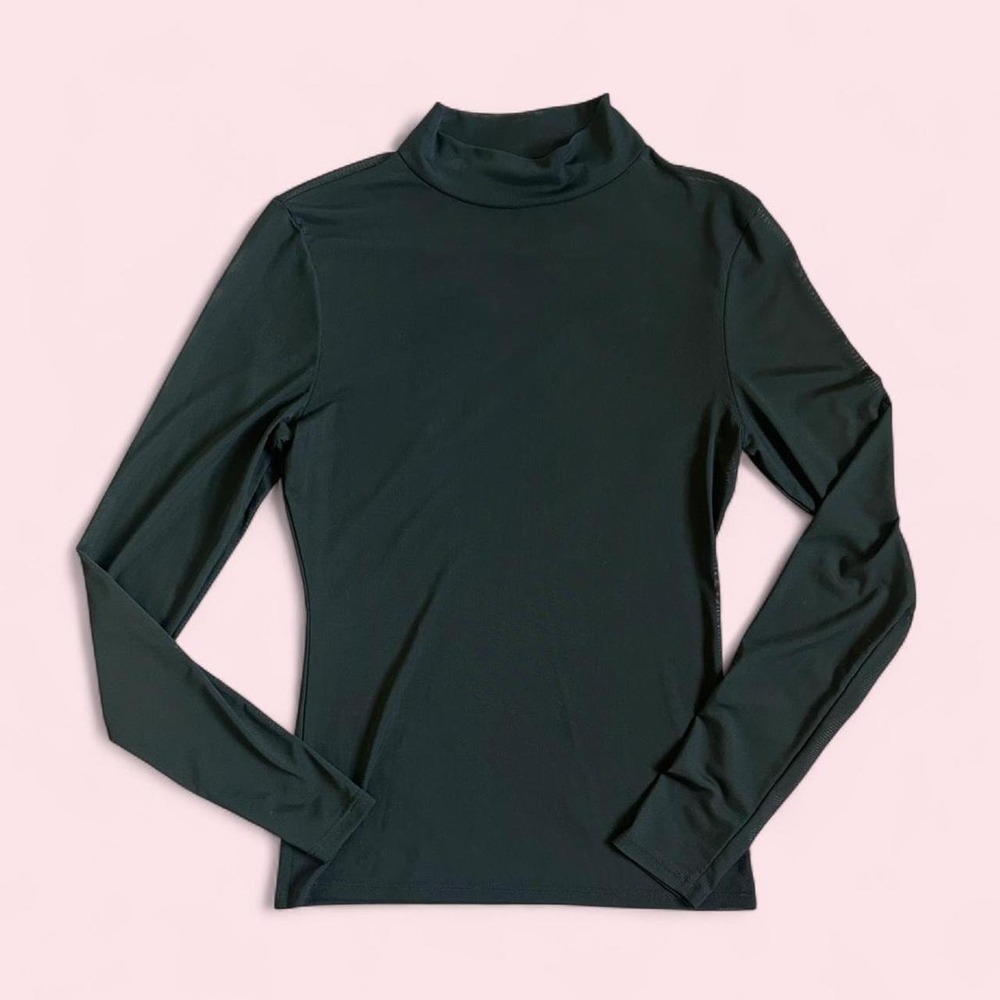 Sheer Mesh Long Sleeve Turtle Neck Top Black Layering Shirt